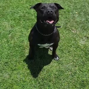 Meet your Posher, Donna